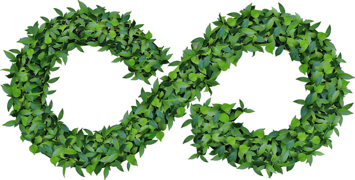 可持续发展七大战略 