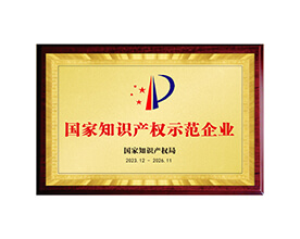 国家知识产权示范企业